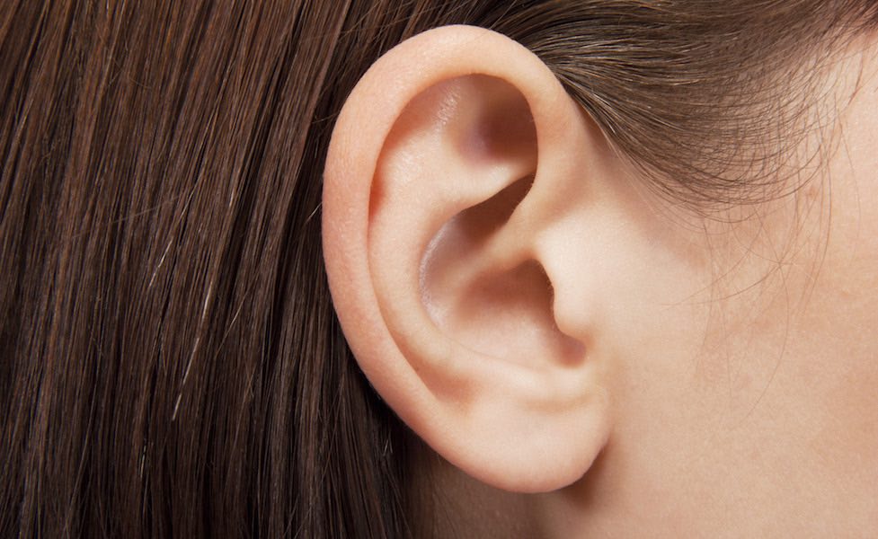 orecchio